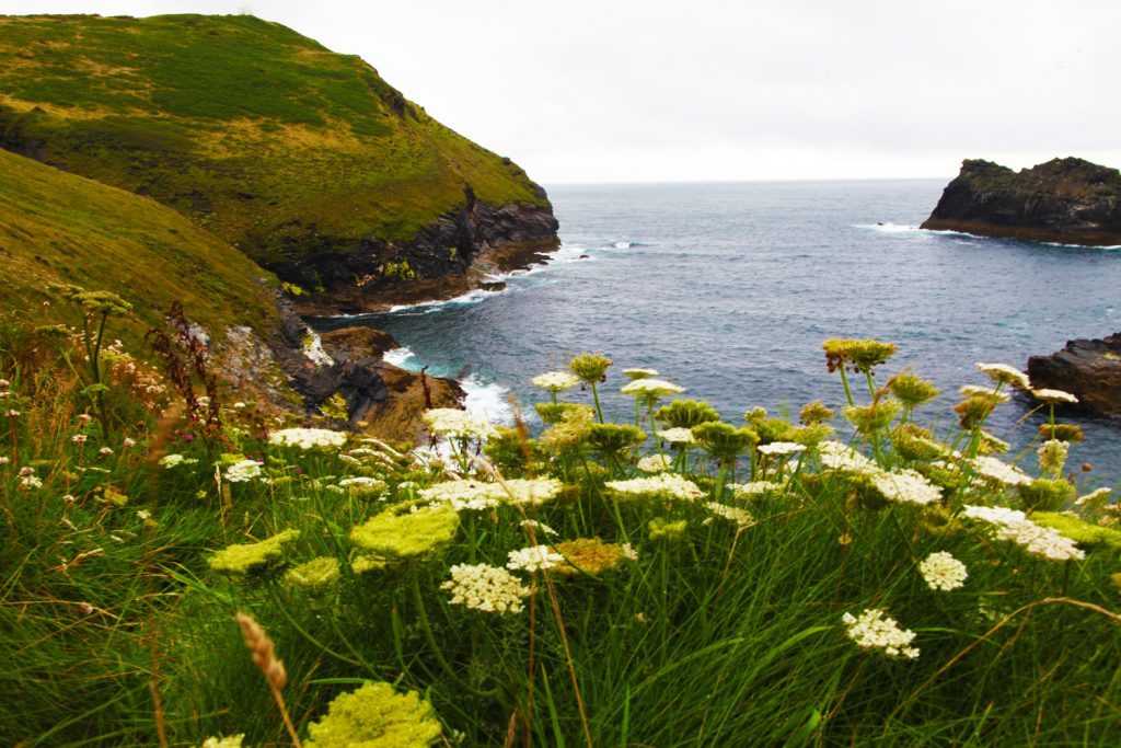Magisches Cornwall Seminar - 15.-22. Juni 2024 – Bild 8