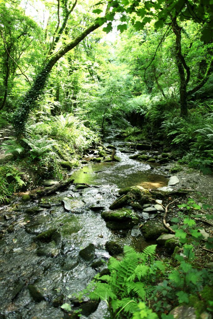 Magisches Cornwall Seminar - 15.-22. Juni 2024 – Bild 6